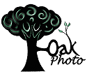 oak photo print shop peterlee horden blackhall easington durham